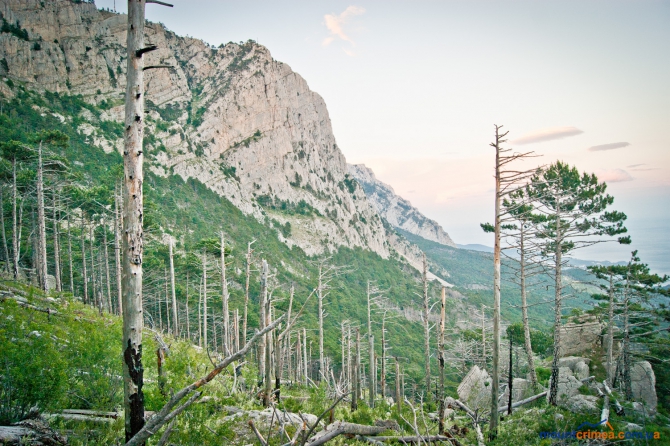 Крым, Алупкинская стена, маршрут "Стрела Безбашенная", 5Б (Альпинизм, описание, первопроход)