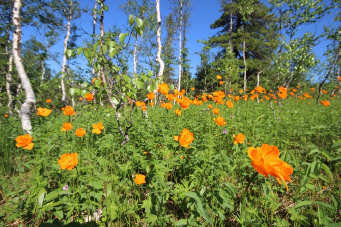 2014 Верблюды Шерегеш и Утуя (Альпинизм, дмитриев, падучева, тфа, проскурин, команда arcteryx в россии, темерев)