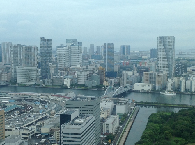 Улитки на склоне Фудзи (Горный туризм, восхождение, фудзияма, фудзисан)