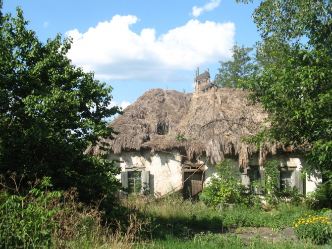 В краю водяных лилий и кувшинок. (Путешествия, река орель, сплав на лодках, водные путешествия, водные лилии.)
