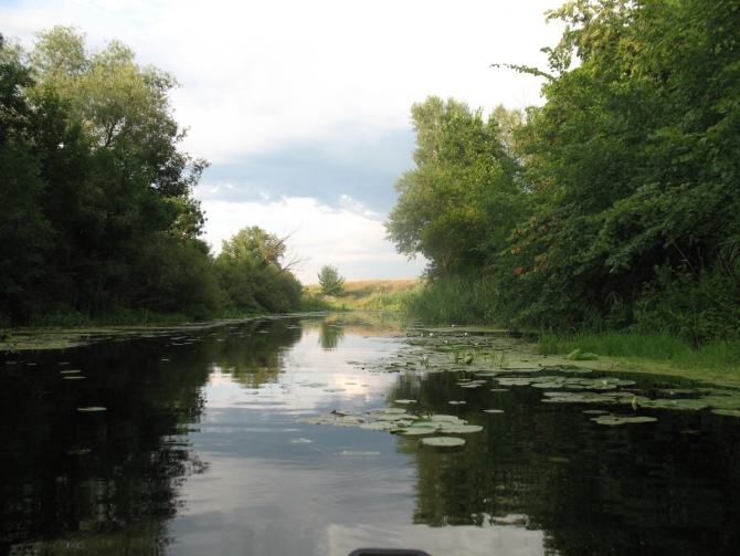 В краю водяных лилий и кувшинок. (Путешествия, река орель, сплав на лодках, водные путешествия, водные лилии.)