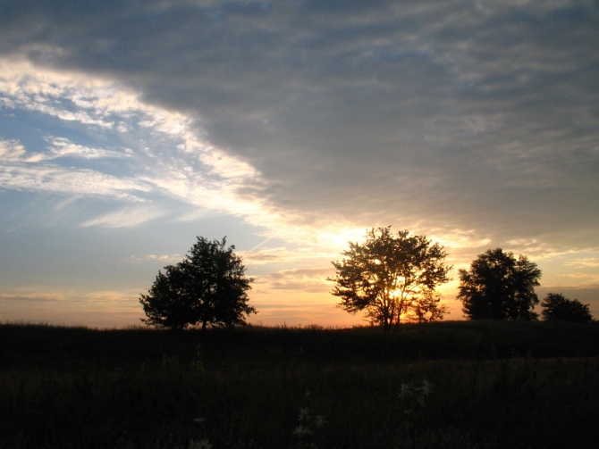 В краю водяных лилий и кувшинок. (Путешествия, река орель, сплав на лодках, водные путешествия, водные лилии.)