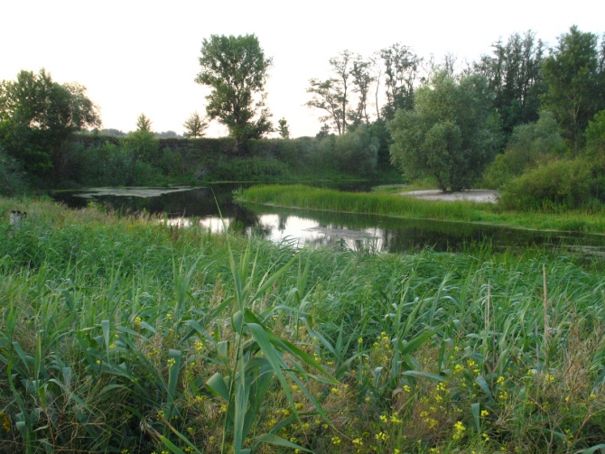 В краю водяных лилий и кувшинок. (Путешествия, река орель, сплав на лодках, водные путешествия, водные лилии.)
