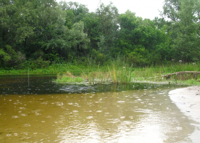 В краю водяных лилий и кувшинок. (Путешествия, река орель, сплав на лодках, водные путешествия, водные лилии.)