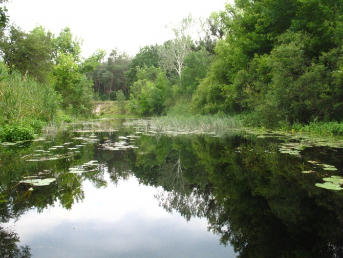 В краю водяных лилий и кувшинок. (Путешествия, река орель, сплав на лодках, водные путешествия, водные лилии.)