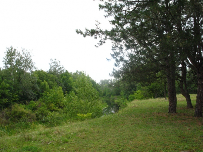 В краю водяных лилий и кувшинок. (Путешествия, река орель, сплав на лодках, водные путешествия, водные лилии.)