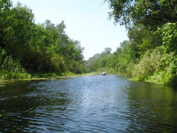 В краю водяных лилий и кувшинок. (Путешествия, река орель, сплав на лодках, водные путешествия, водные лилии.)