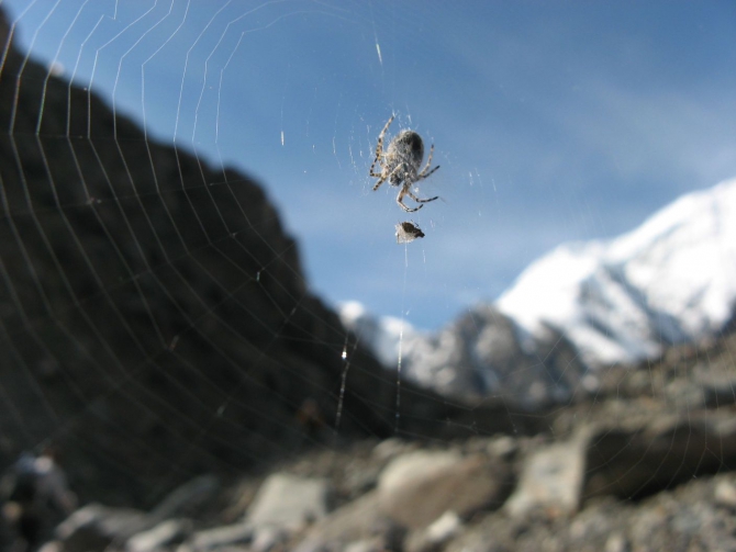 Очень хочется выжить (фото, жизнь)