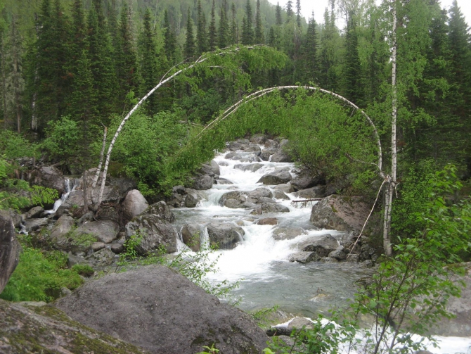 Очень хочется выжить (фото, жизнь)