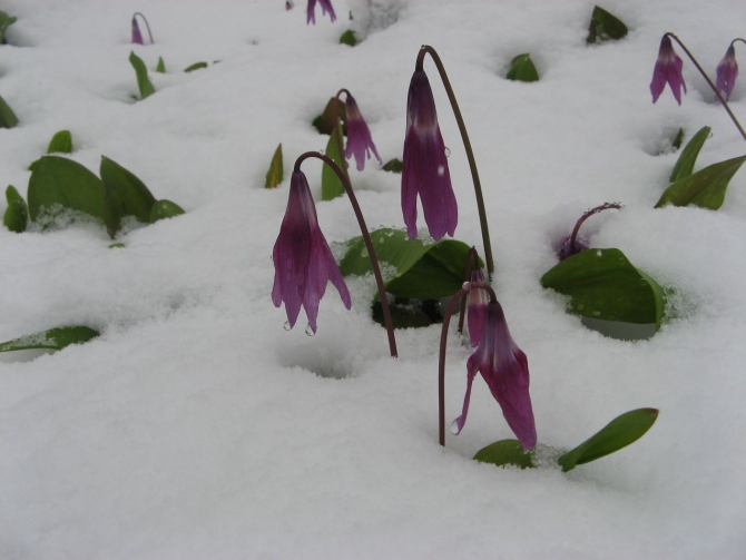 Очень хочется выжить (фото, жизнь)