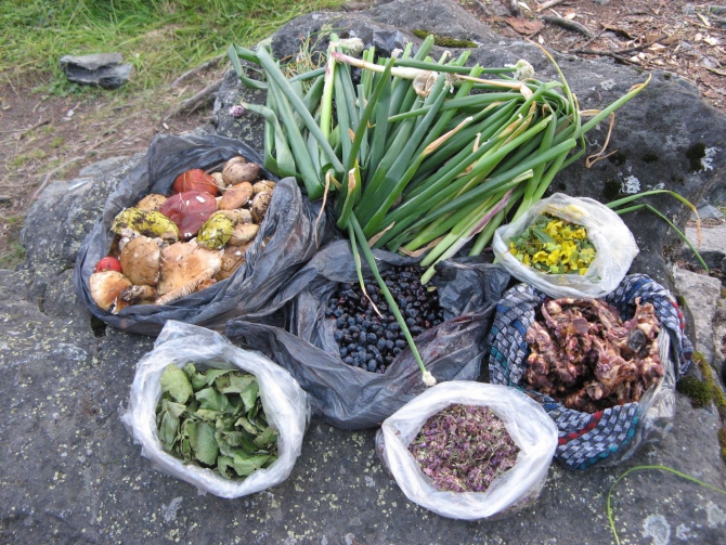 Очень хочется выжить (фото, жизнь)