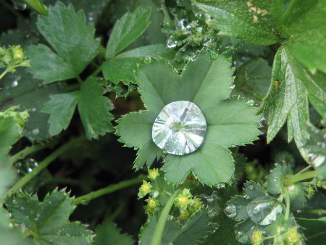 Очень хочется выжить (фото, жизнь)