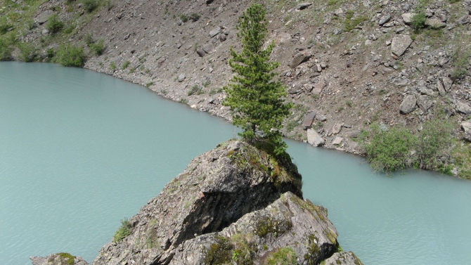 Очень хочется выжить (фото, жизнь)