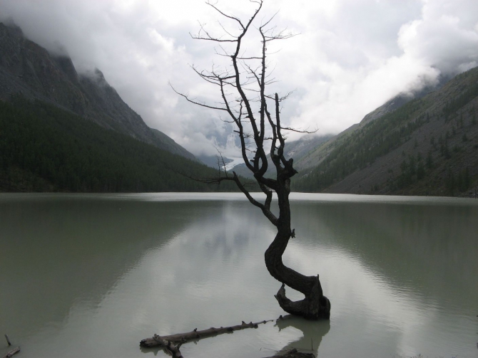 Очень хочется выжить (фото, жизнь)