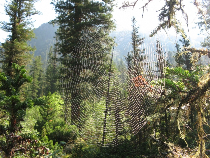 Очень хочется выжить (фото, жизнь)