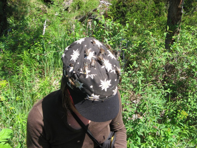 Очень хочется выжить (фото, жизнь)