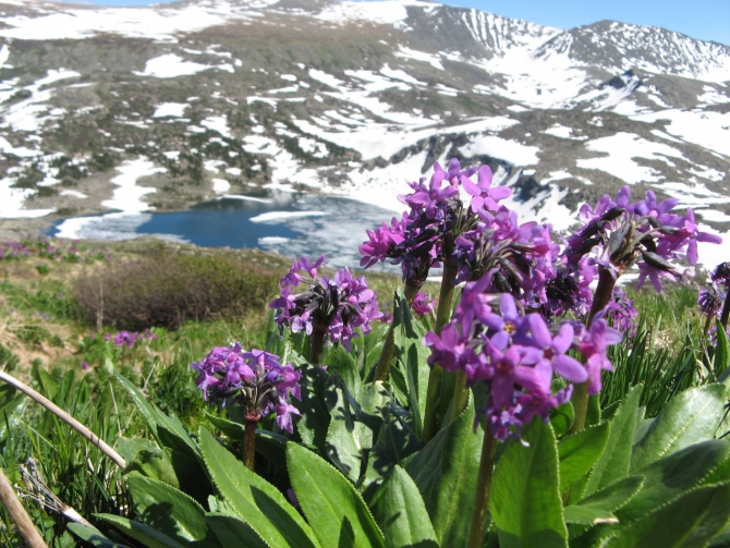 Очень хочется выжить (фото, жизнь)