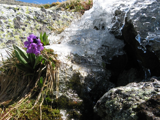 Очень хочется выжить (фото, жизнь)