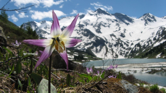 Очень хочется выжить (фото, жизнь)