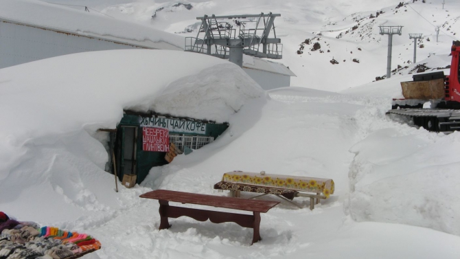 Очень хочется выжить (фото, жизнь)