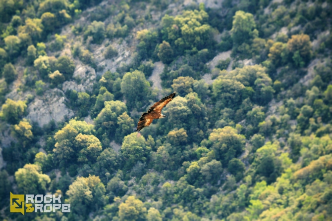 Проект: Монт Ребей. Роуп-джамп экспедиция с амбициями! (Воздух, роуп-джампинг, ropejumping, испания., рекорд)