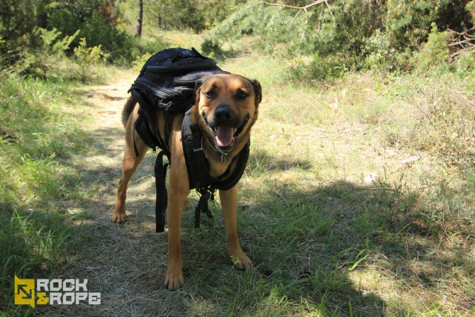 Проект: Монт Ребей. Роуп-джамп экспедиция с амбициями! (Воздух, роуп-джампинг, ropejumping, испания., рекорд)