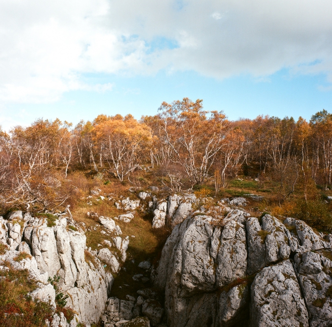 Тоже осень в горах (фишт, кавказ, фото, лаго-наки)