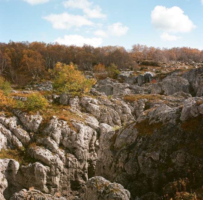 Тоже осень в горах (фишт, кавказ, фото, лаго-наки)