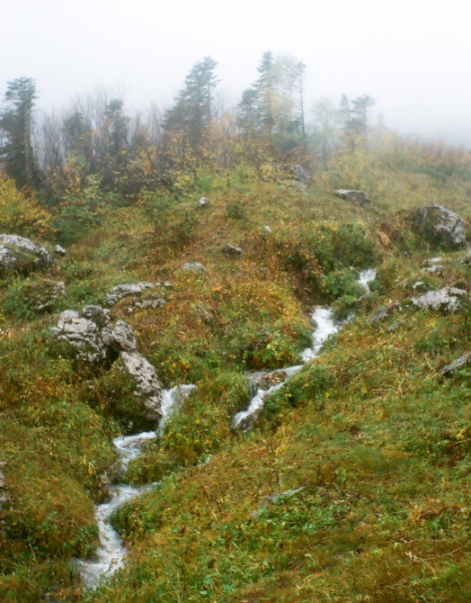 Тоже осень в горах (фишт, кавказ, фото, лаго-наки)