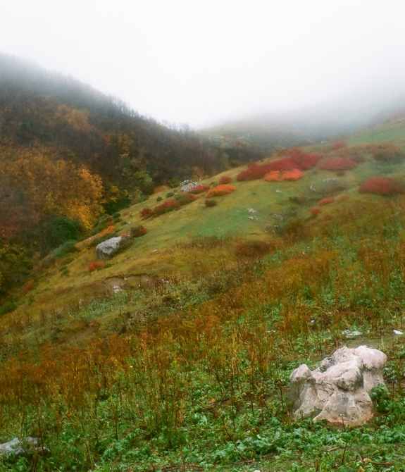 Тоже осень в горах (фишт, кавказ, фото, лаго-наки)