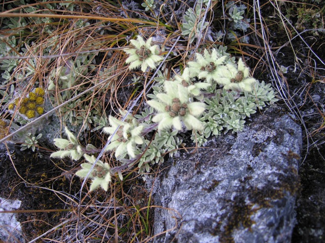 Жанну. Пресс-конференция. Итоги (Альпинизм, кофанов, бабанов, bask, баск)