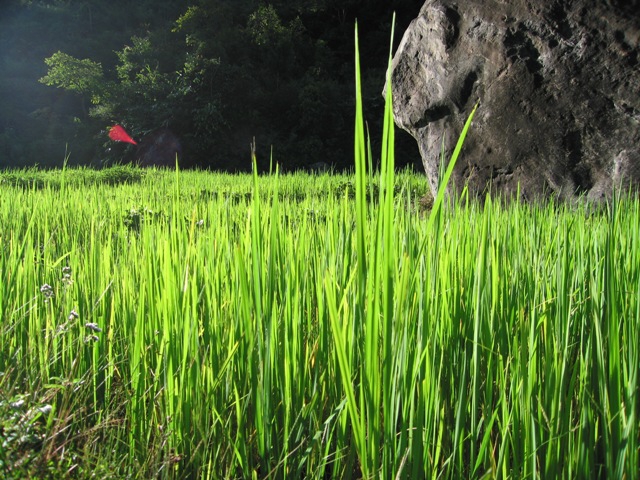 Жанну. Пресс-конференция. Итоги (Альпинизм, кофанов, бабанов, bask, баск)