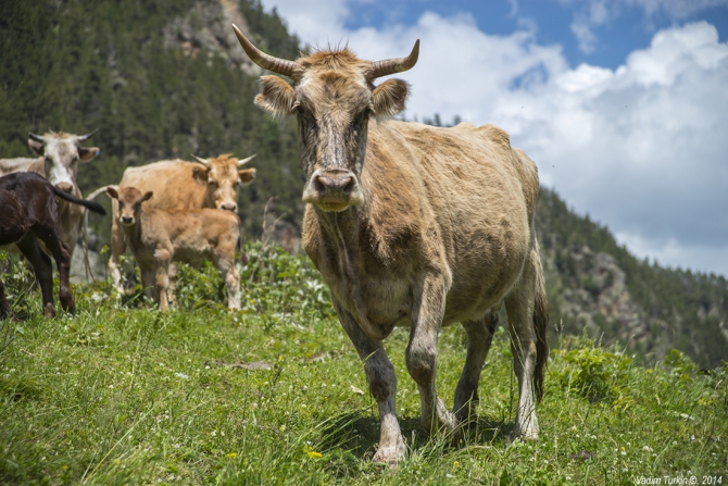 Выходные на озерах Уллу-кель (Горный туризм, кавказ)