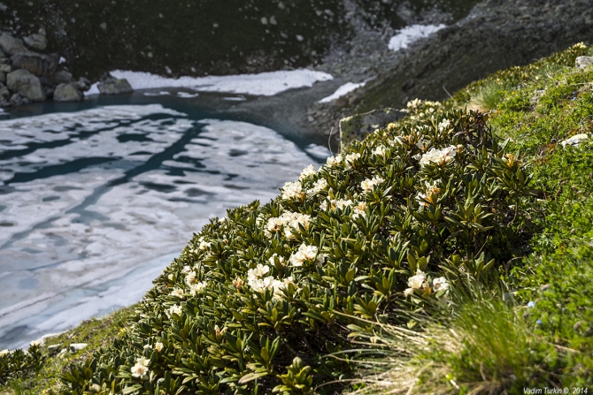 Выходные на озерах Уллу-кель (Горный туризм, кавказ)