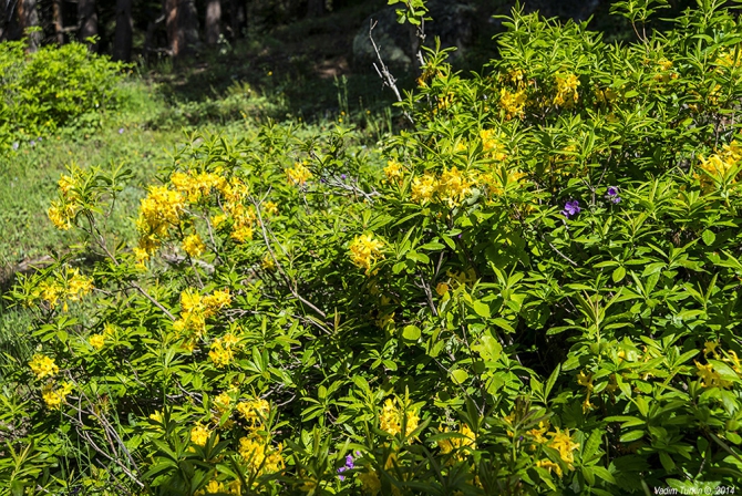 Выходные на озерах Уллу-кель (Горный туризм, кавказ)