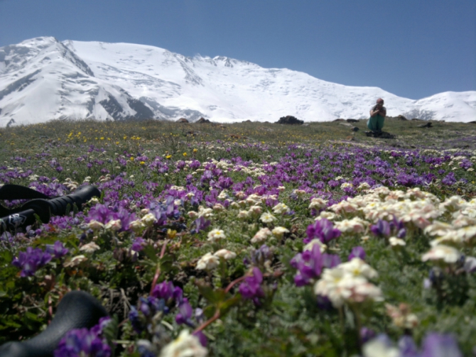 Не ходите дети в Африку гулять (Lenin Race часть 3). (Альпинизм, lenin race 2014, redfox, дворниченко семен, шкель виталий, тополь славик, колчанов евгений, оглоблина анна, безопасность, skyrunning.)