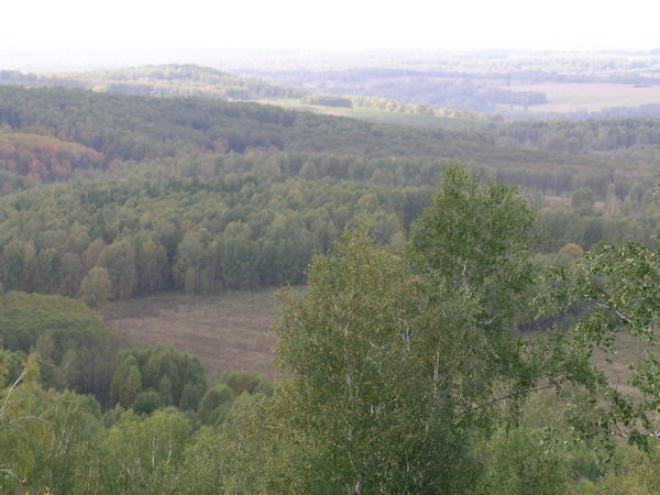 Осенний марафон 2006. (Сентябрь, Новосибирская область, ориентирование, соревнования)