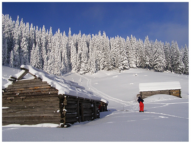 Снежные карпаты (Горный туризм, черногорский хребет)