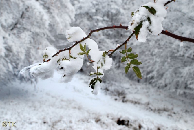 Арт-фотография под землей. (Спелеология, спелеология, пещеры, календарь, крым, speleo, караби, красная, кизил коба, паводок, кастере)