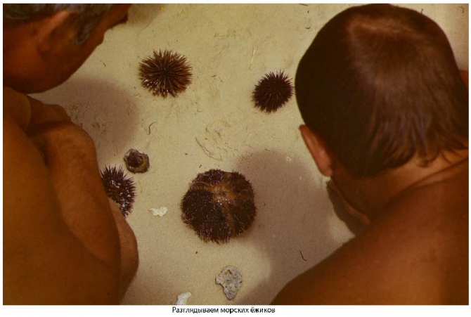 Антарктида - часть I: Дорога к Белому континенту. (Путешествия, станция ленинградская, "михаил сомов", антарктическая экспедиция, антарктика)