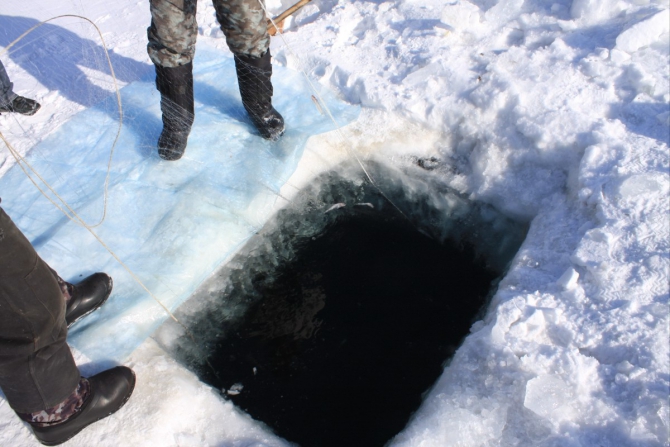 Иркутск, ФАИо, ВЫБОРЫ: что довезли, сколько полегло, и кто во что "впрягся" ?? !! (Альпинизм, конференция)