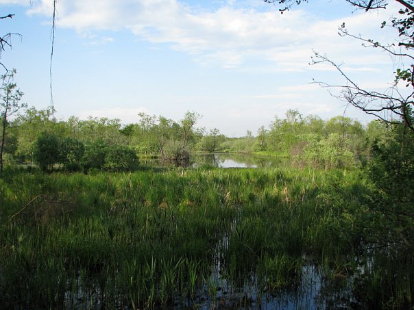 Завершился "Майский спринт - 2010" (Мультигонки, майский_спринт, пср, мультигонки, спортивный_туризм)