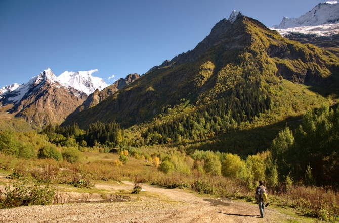 Фотографируем зубров (Путешествия, осень, домбай)