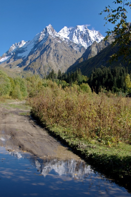 Фотографируем зубров (Путешествия, осень, домбай)