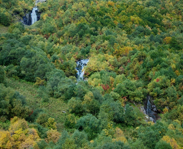 Фотографируем зубров (Путешествия, осень, домбай)