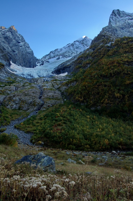 Фотографируем зубров (Путешествия, осень, домбай)