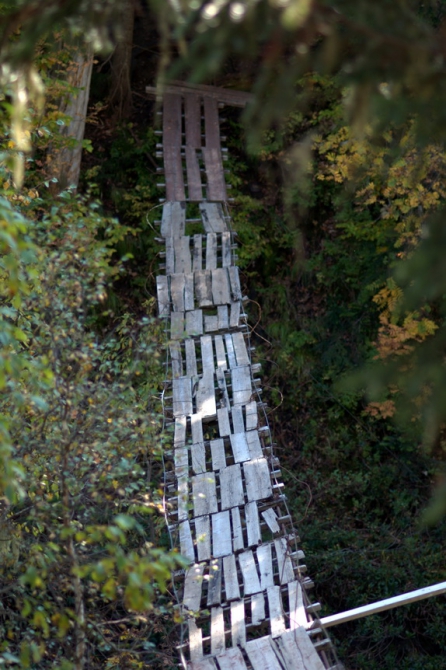 Фотографируем зубров (Путешествия, осень, домбай)