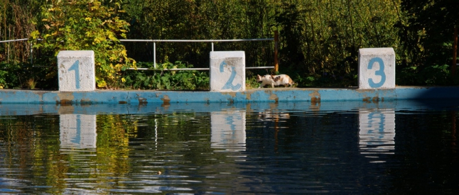 Фотографируем зубров (Путешествия, осень, домбай)