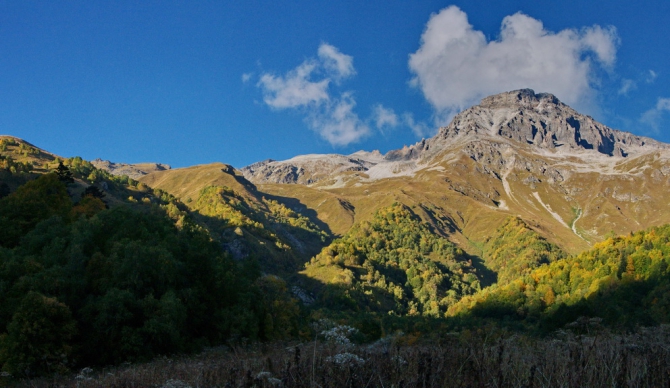 Фотографируем зубров (Путешествия, осень, домбай)