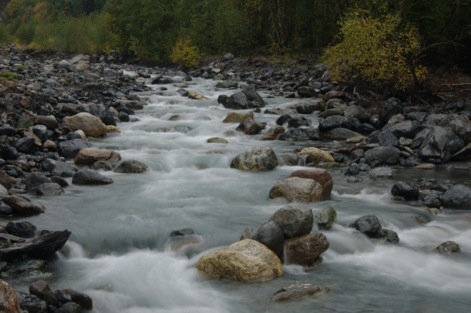 Фотографируем зубров (Путешествия, осень, домбай)